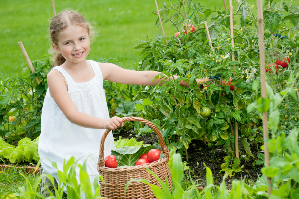 You are currently viewing Alimentação orgânica para crianças: quais os benefícios?